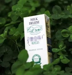 有機食品價格高企，馬鞍山美食廣場熱議 是健康投資還是消費泡沫？